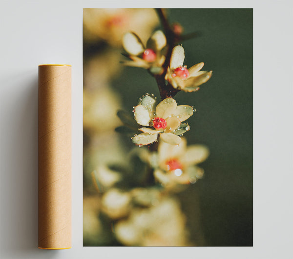 Yellow Dewy Blooms Poster