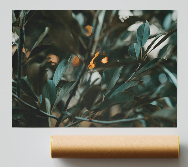 Teal Leaves And Light Giclee Print