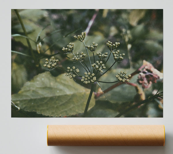Green Budding Blooms Giclee Print