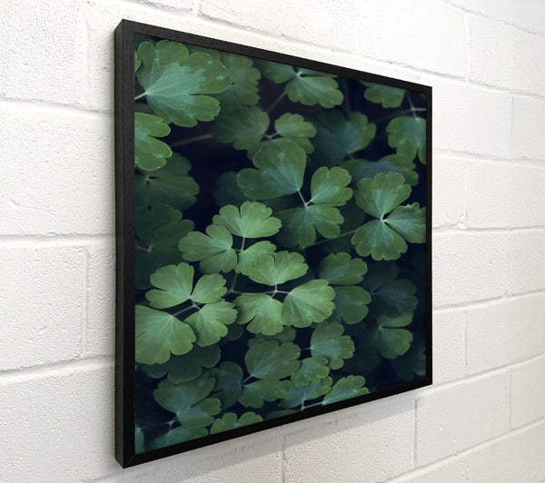 Emerald Leafy Embrace