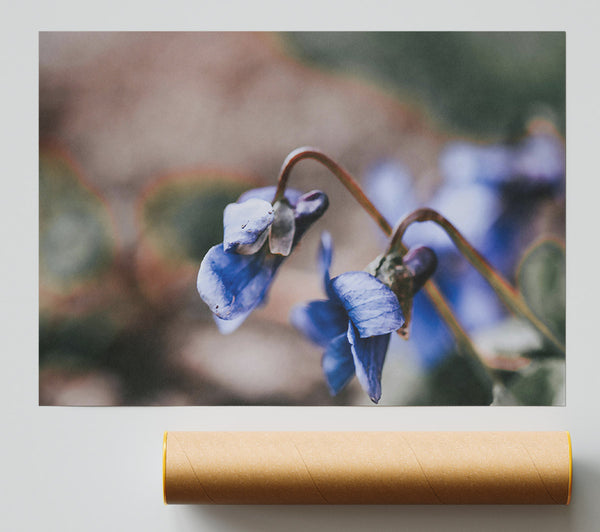 Purple Spring Bloom Giclee Print