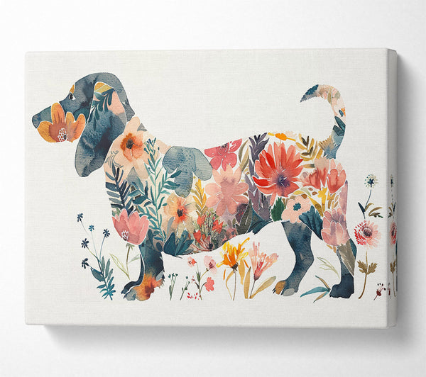  A Canvas Print of Flower Dachshund Canvas Art