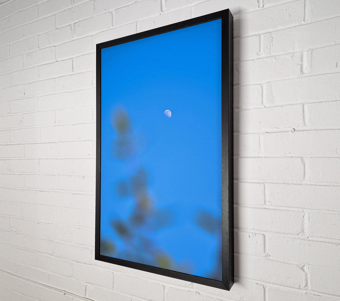  A Canvas Print of Blue Sky Crescent Moon Canvas Print