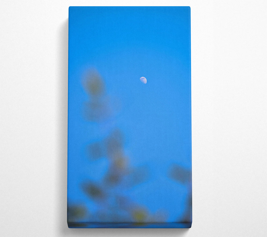  A Canvas Print of Blue Sky Crescent Moon Canvas Print