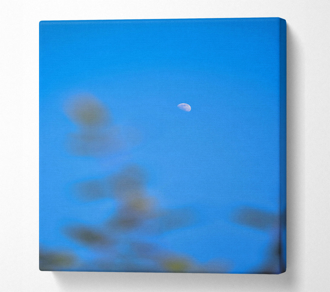  A Canvas Print of Blue Sky Crescent Moon Canvas Print