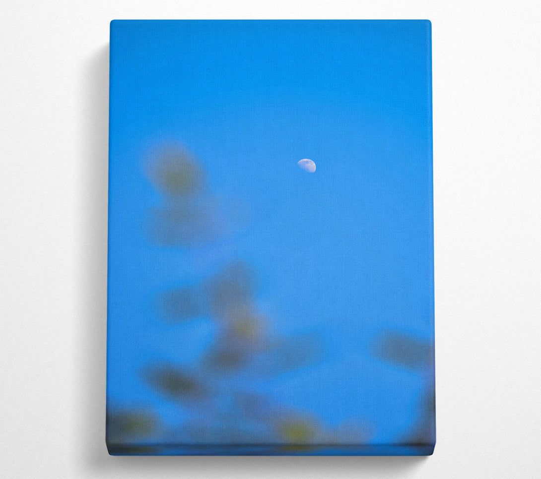  A Canvas Print of Blue Sky Crescent Moon Canvas Print