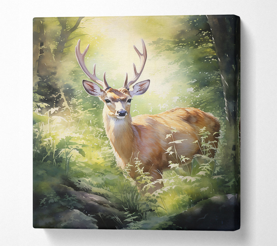 A Canvas Print of Golden Deer In The Woods Canvas Art