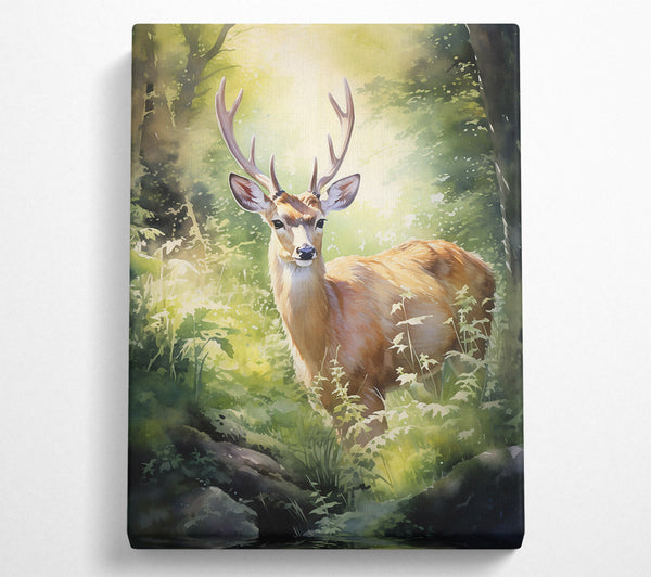  A Canvas Print of Golden Deer In The Woods Canvas Art