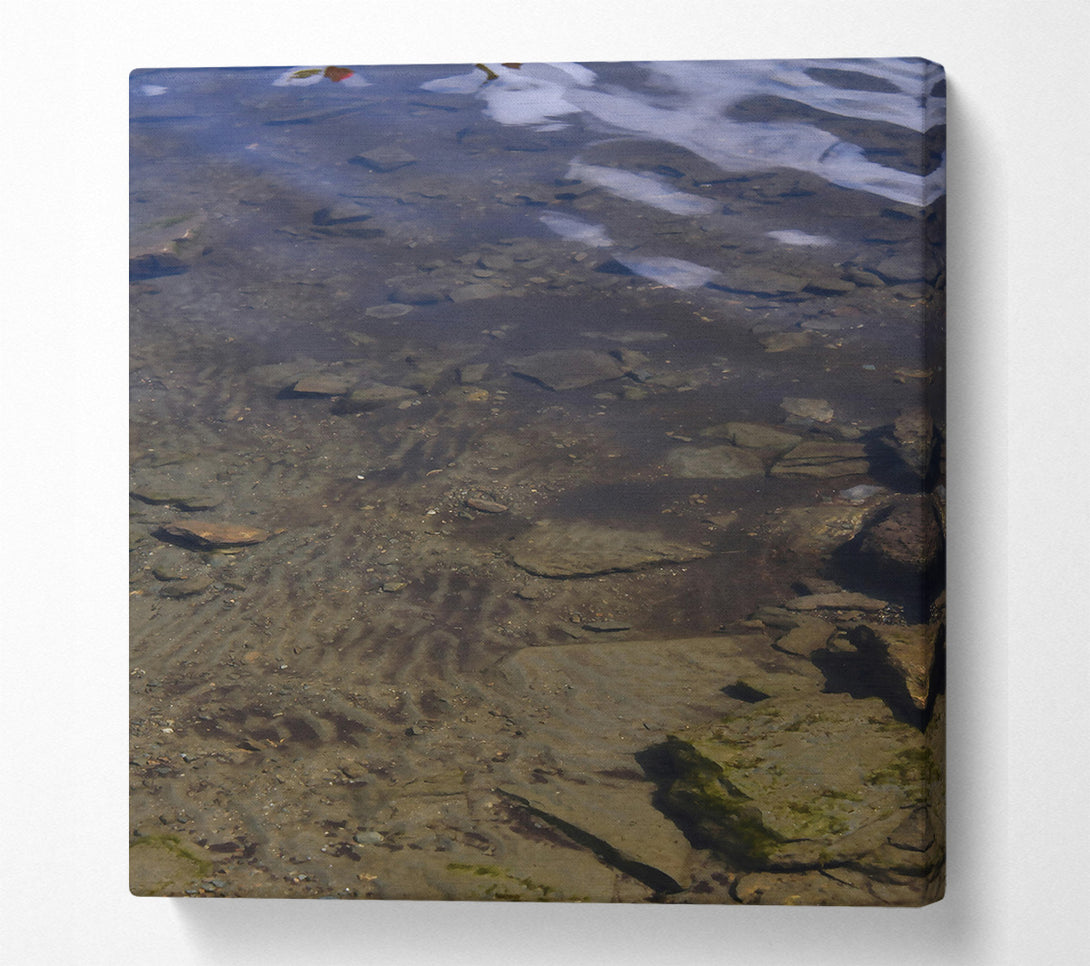  A Canvas Print of Watery Brown Patterns Canvas Wall Art