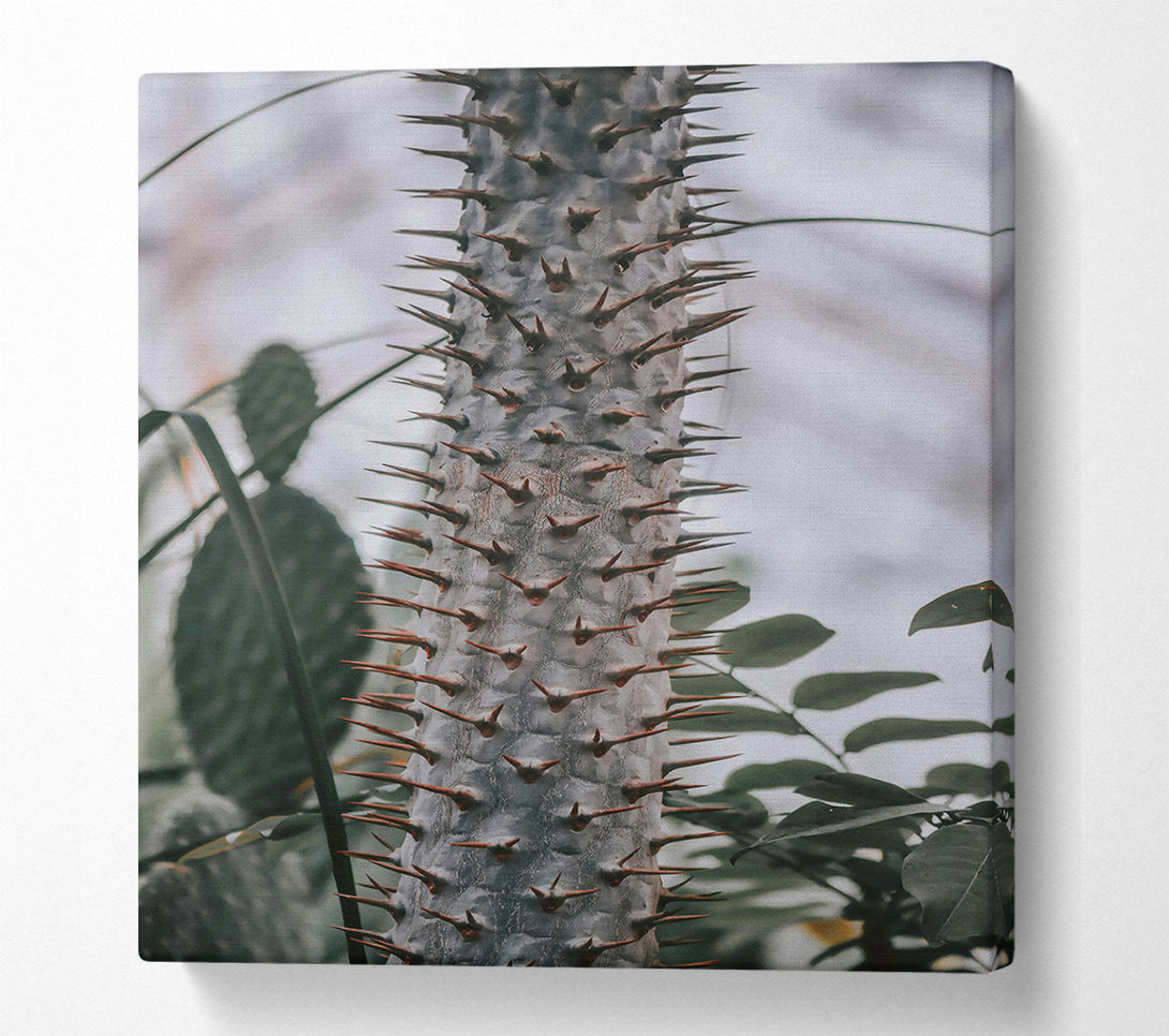  A Canvas Print of Grey Spiked Sentinel Canvas Wall Art