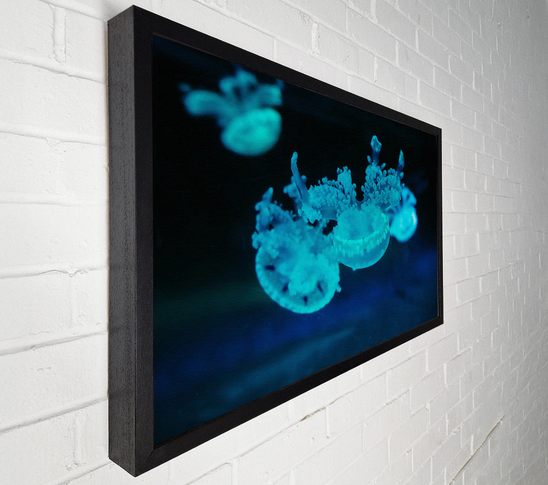  A Canvas Print of Aqua Jellyfish Dance Canvas Art
