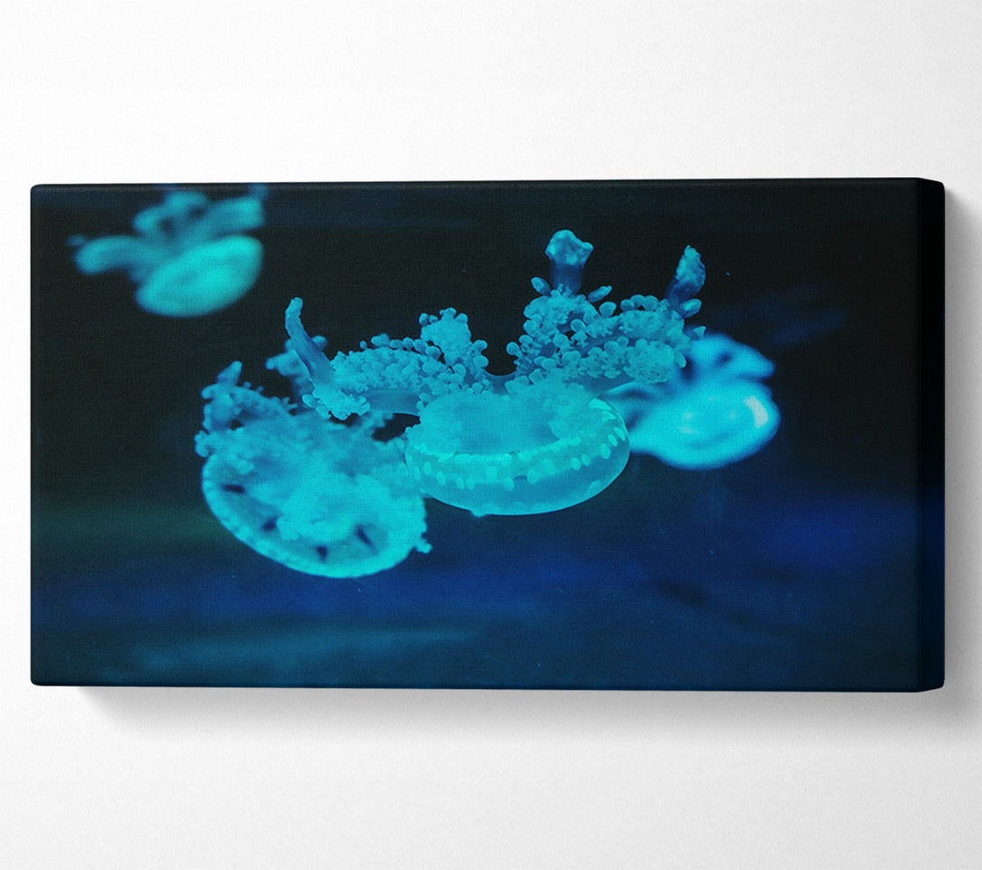  A Canvas Print of Aqua Jellyfish Dance Canvas Art