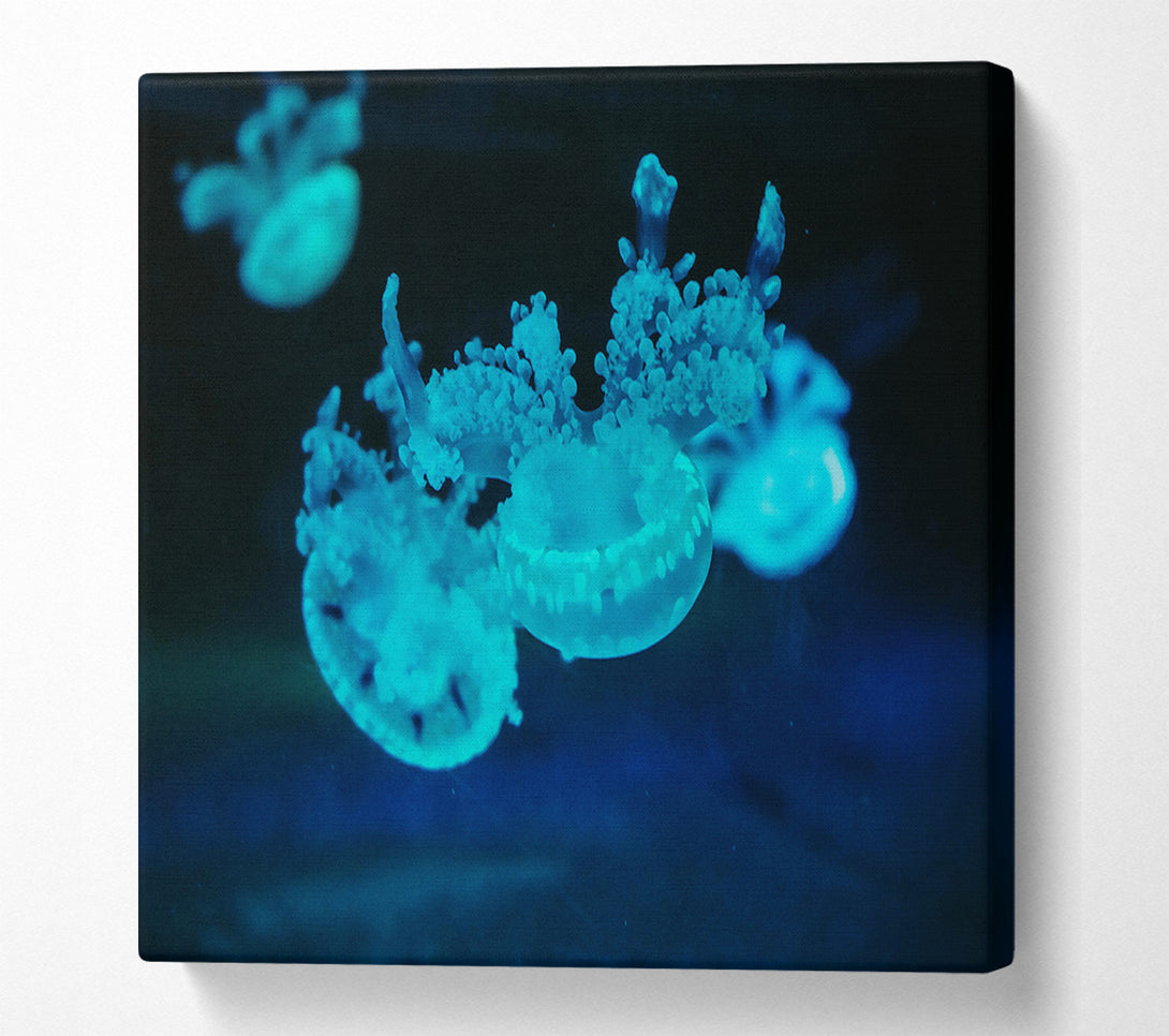  A Canvas Print of Aqua Jellyfish Dance Canvas Art