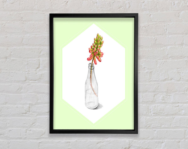 Flower In A Bottle Framed Print