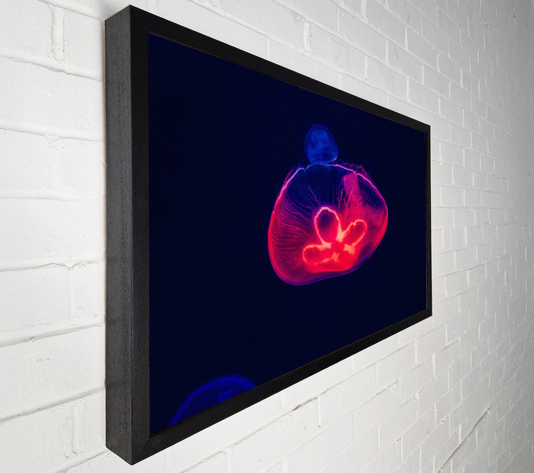  A Canvas Print of Crimson Jellyfish Glow Canvas Wall Art