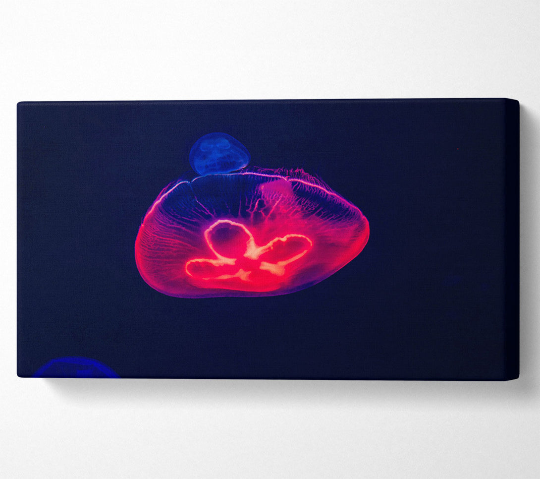  A Canvas Print of Crimson Jellyfish Glow Canvas Wall Art