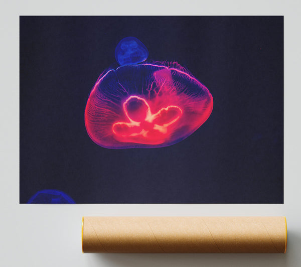 Crimson Jellyfish Glow Giclee Print