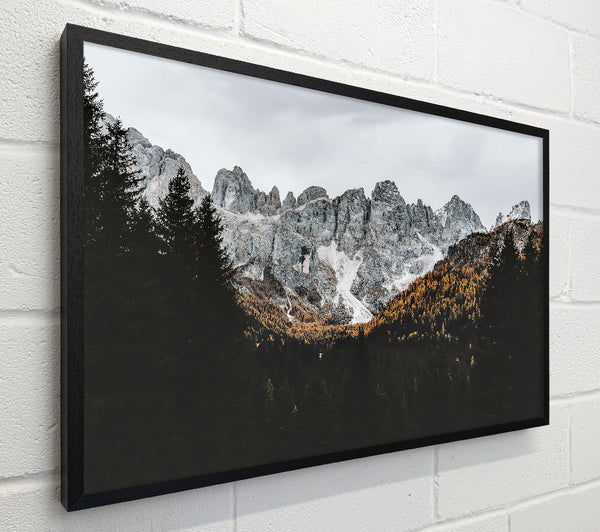 Grey Mountain Majesty
