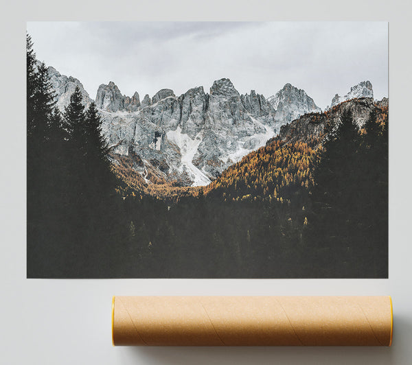 Grey Mountain Majesty Giclee Print