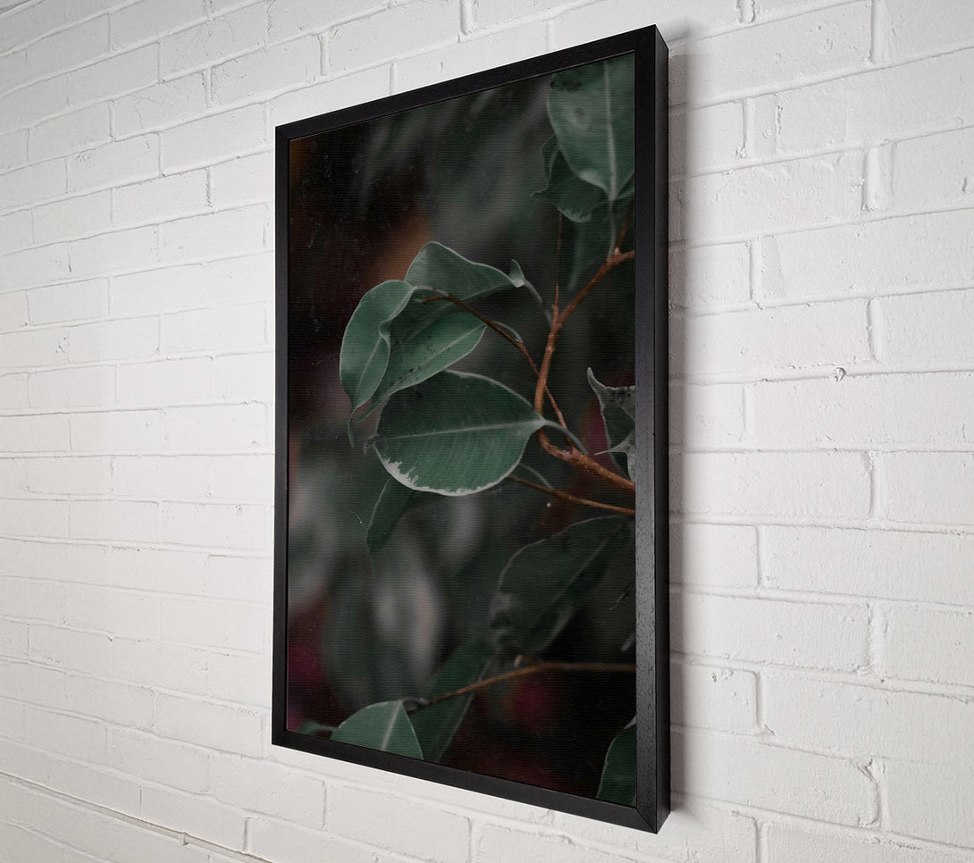  A Canvas Print of Emerald Leaf Reflections Canvas Print