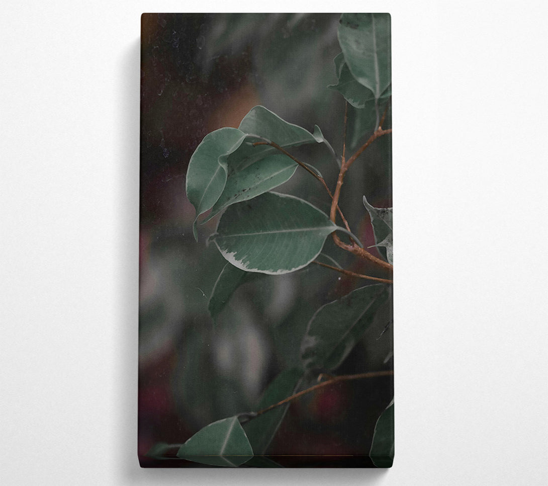  A Canvas Print of Emerald Leaf Reflections Canvas Print