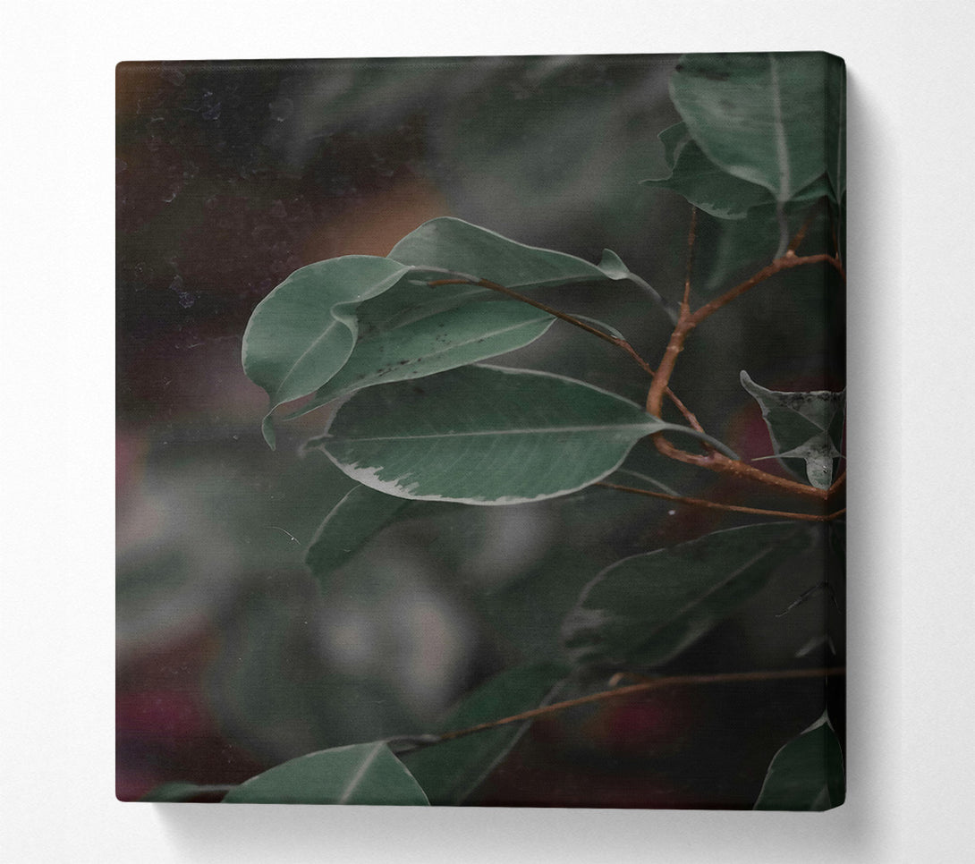  A Canvas Print of Emerald Leaf Reflections Canvas Print