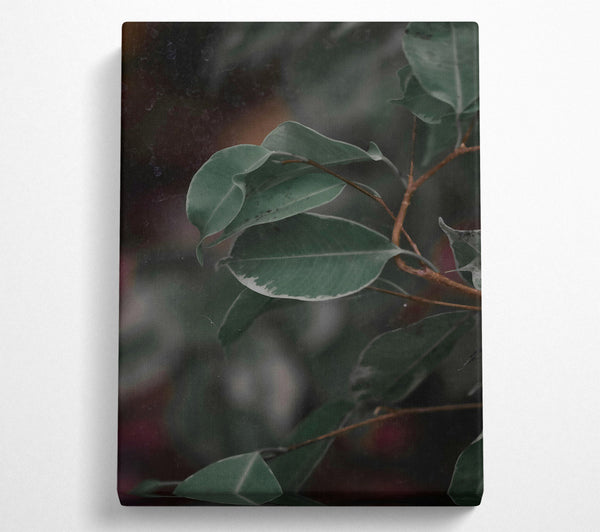  A Canvas Print of Emerald Leaf Reflections Canvas Print