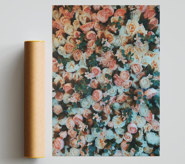 Peach And White Floral Wall Print