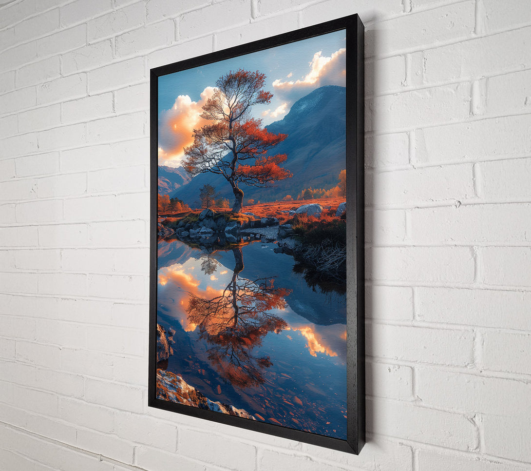  A Canvas Print of Orange Tree Reflection Canvas Print