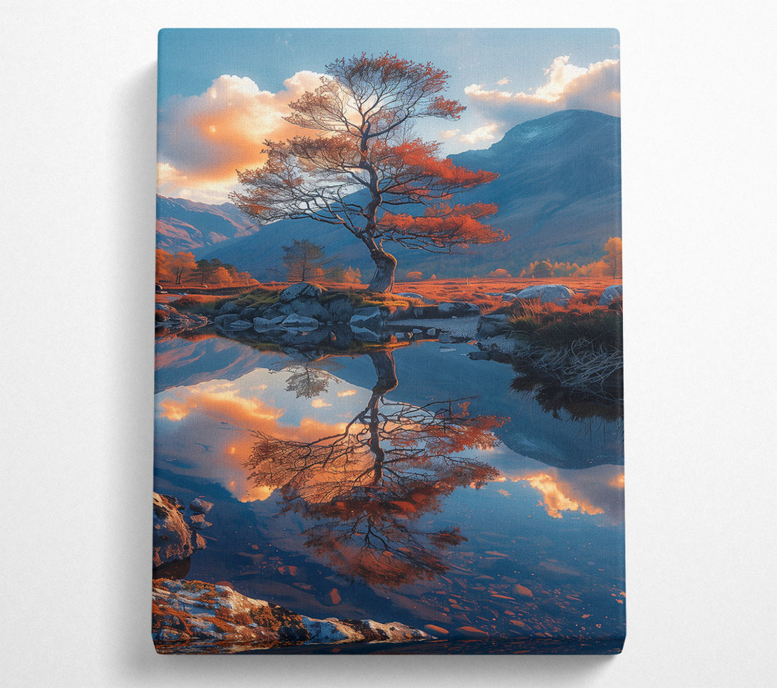  A Canvas Print of Orange Tree Reflection Canvas Print
