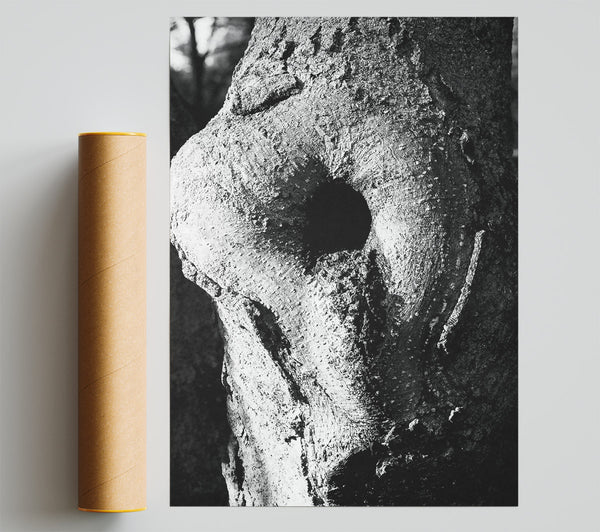 White Bark, Black Eye Giclee Print