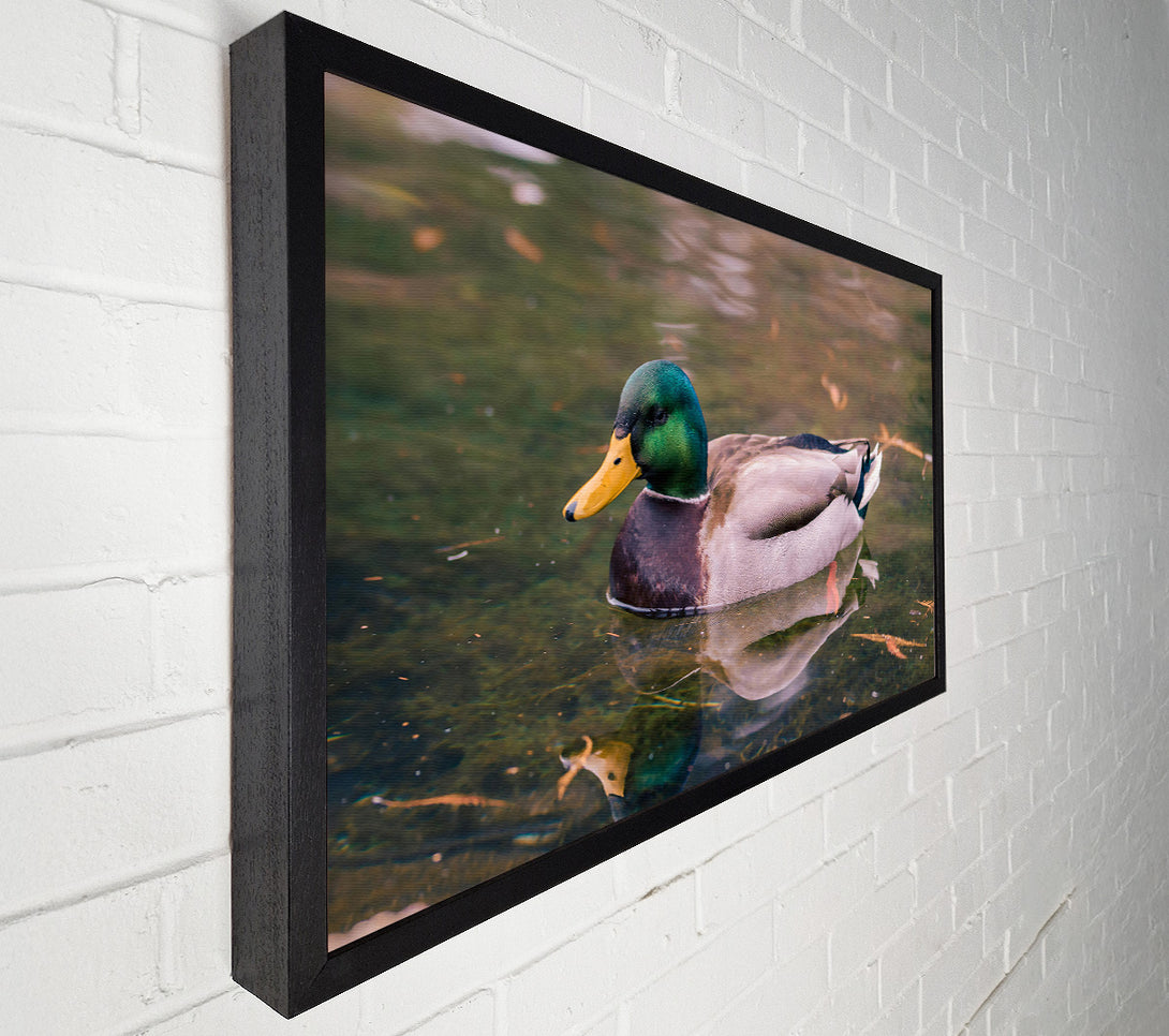  A Canvas Print of Emerald Waterfowl Reflection Canvas Wall Art