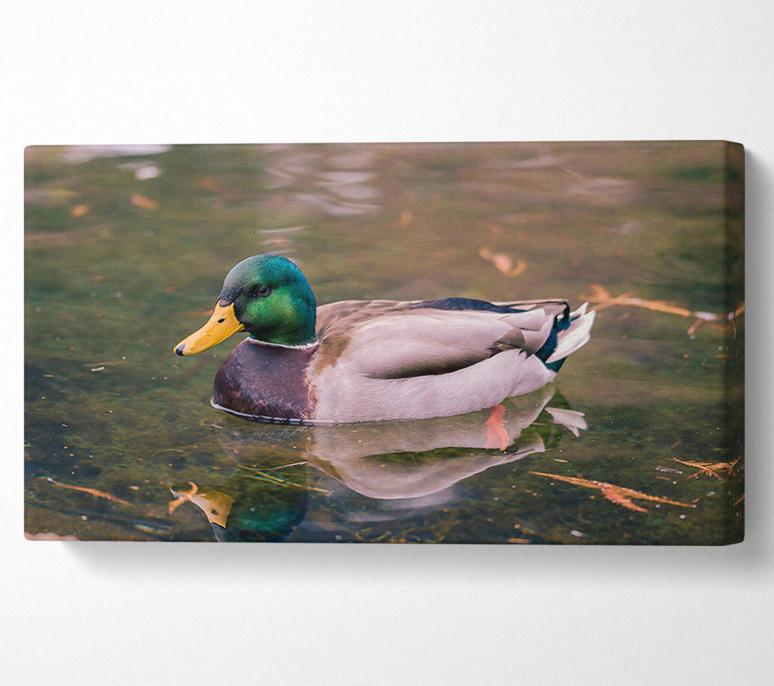  A Canvas Print of Emerald Waterfowl Reflection Canvas Wall Art