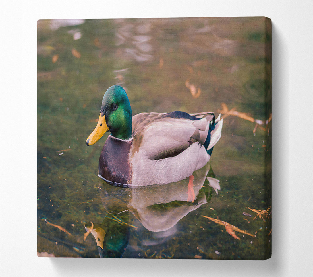  A Canvas Print of Emerald Waterfowl Reflection Canvas Wall Art