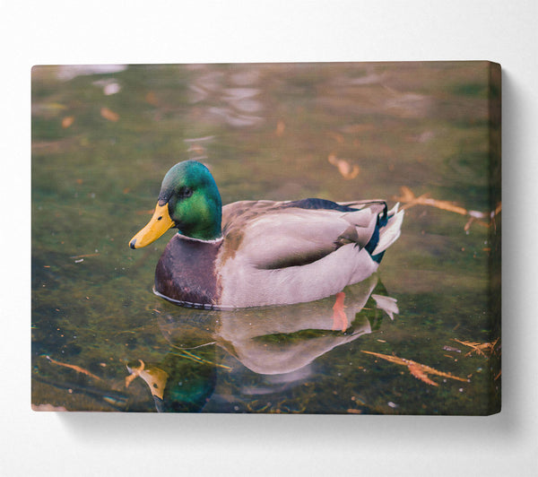  A Canvas Print of Emerald Waterfowl Reflection Canvas Wall Art