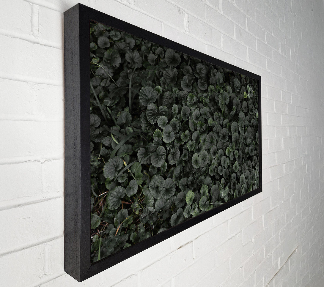  A Canvas Print of Emerald Green Carpet Canvas Print
