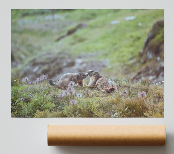 Green Marmot Love Giclee Print