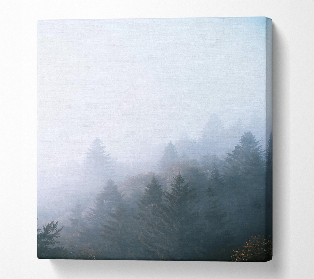  A Canvas Print of Blue Foggy Forest Canvas Wall Art