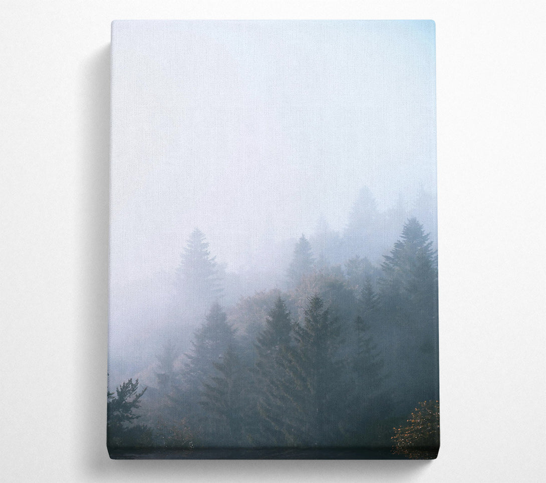  A Canvas Print of Blue Foggy Forest Canvas Wall Art