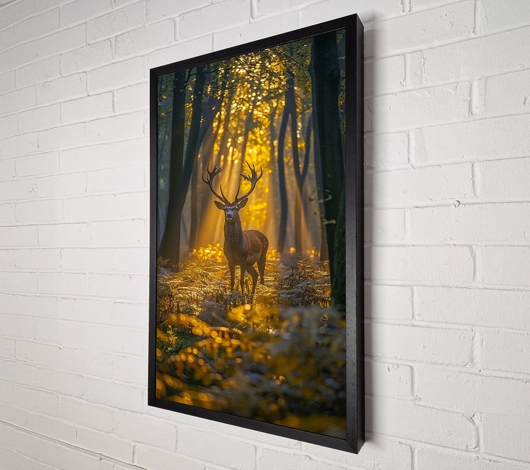  A Canvas Print of Golden Forest Stag Canvas Print