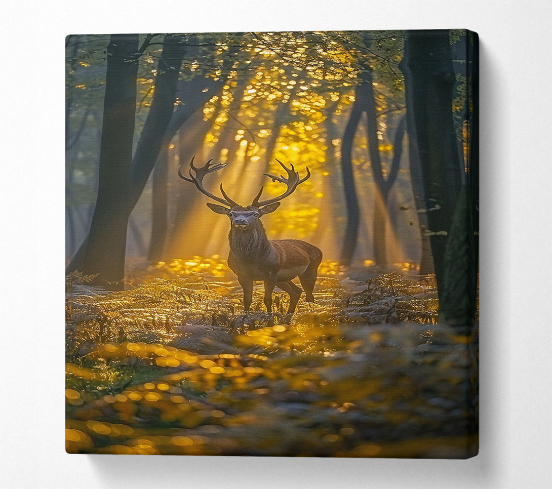  A Canvas Print of Golden Forest Stag Canvas Print
