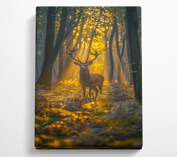  A Canvas Print of Golden Forest Stag Canvas Print