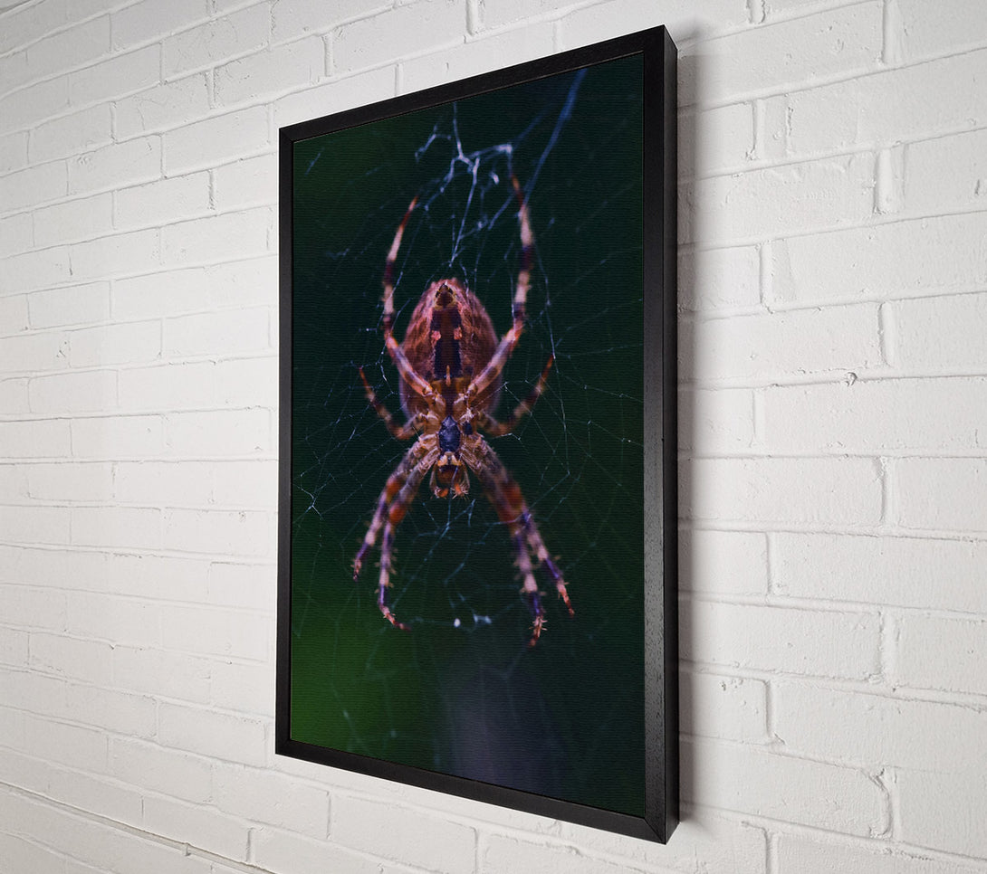  A Canvas Print of Crimson Spider Web Canvas Art