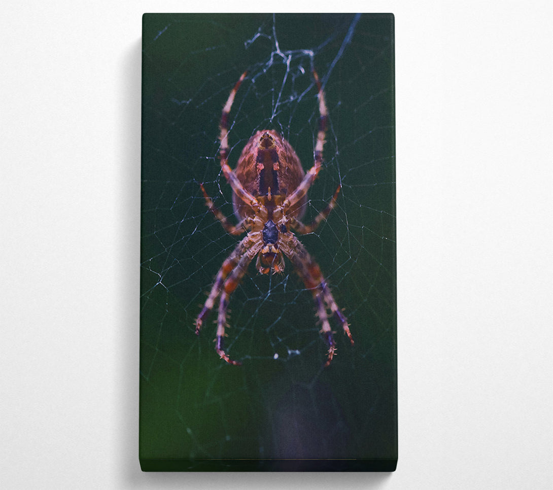  A Canvas Print of Crimson Spider Web Canvas Art