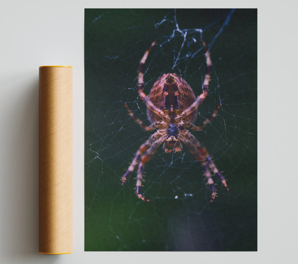 Crimson Spider Web Poster