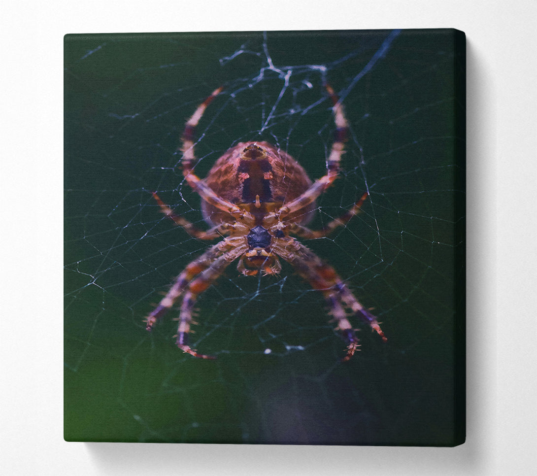  A Canvas Print of Crimson Spider Web Canvas Art