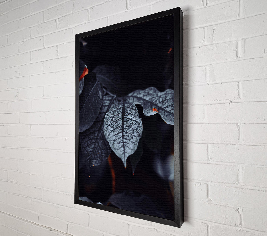  A Canvas Print of Deep Teal Veins Canvas Print