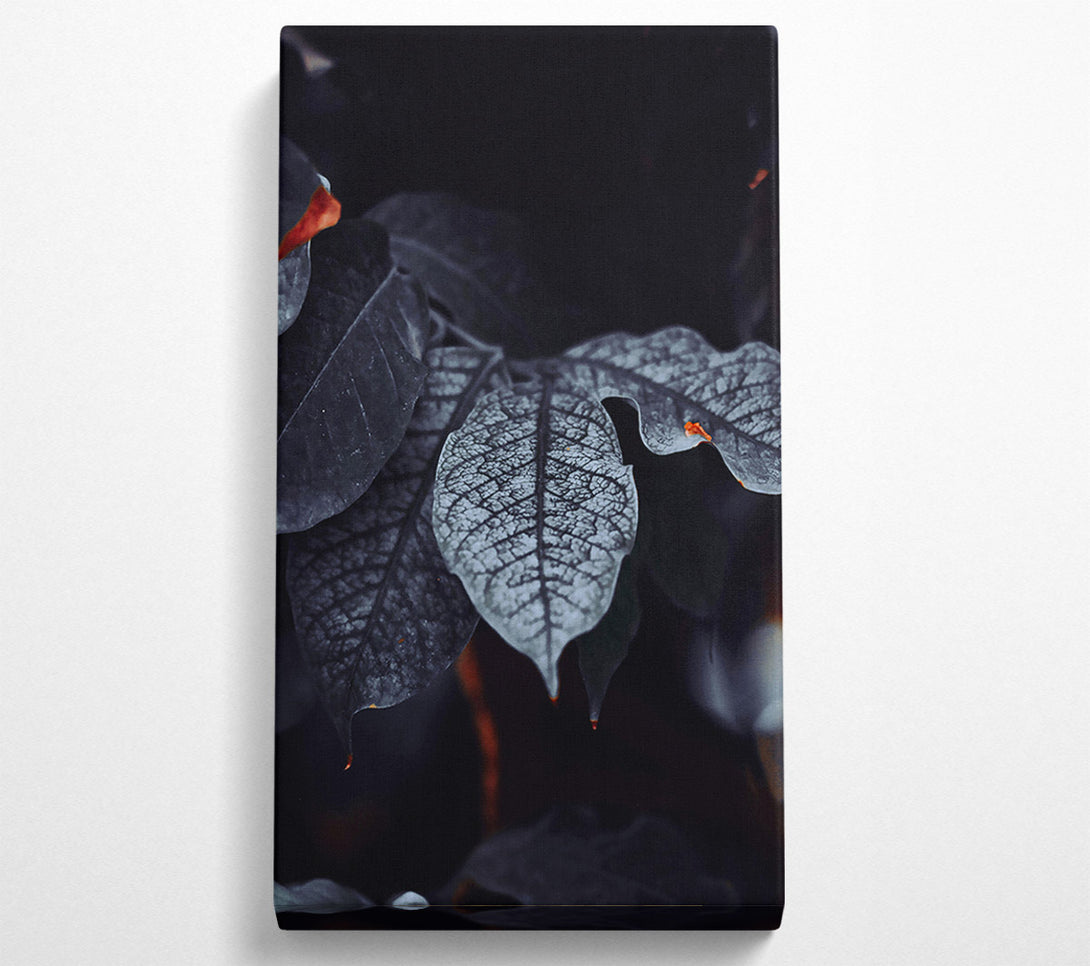  A Canvas Print of Deep Teal Veins Canvas Print