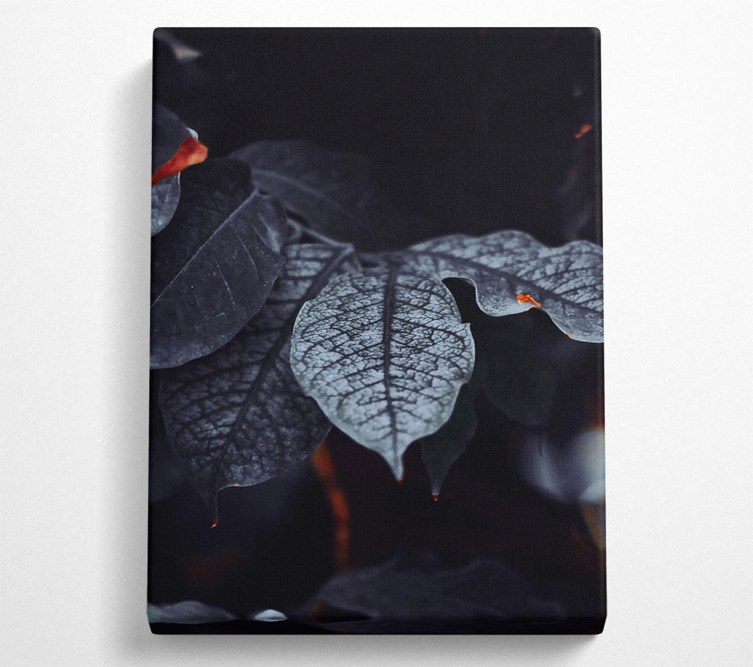  A Canvas Print of Deep Teal Veins Canvas Print