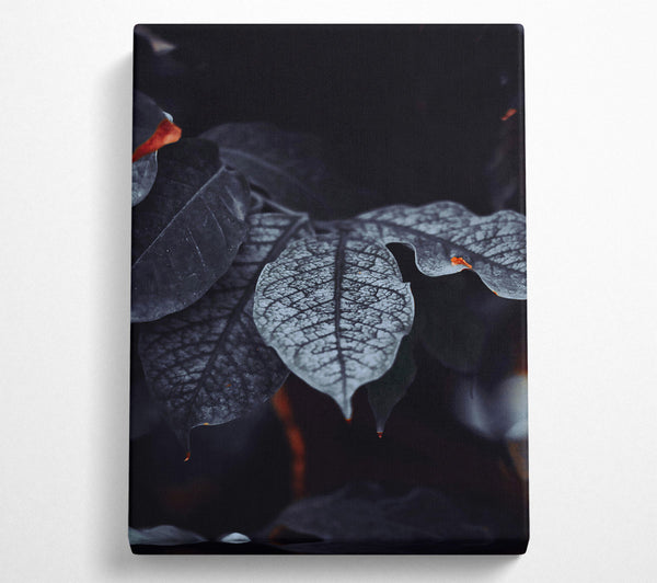  A Canvas Print of Deep Teal Veins Canvas Print